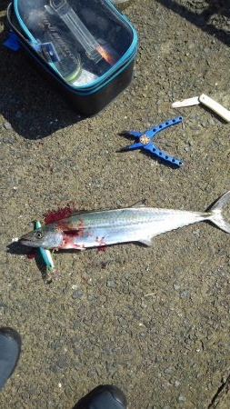 今年初一匹ゲットです！