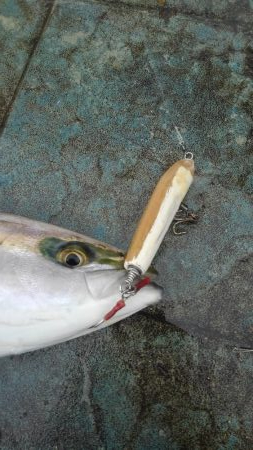 大満足！粘り勝ち！