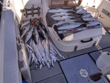 遊漁船SOUTH　10/2釣果