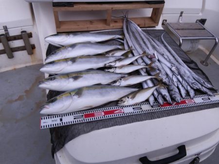 遊漁船SOUTH10/4釣果