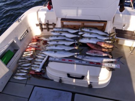 遊漁船SOUTH　10/6釣果