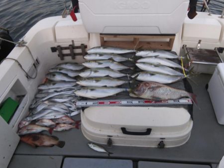 大阪湾　遊漁船SOUTH釣果