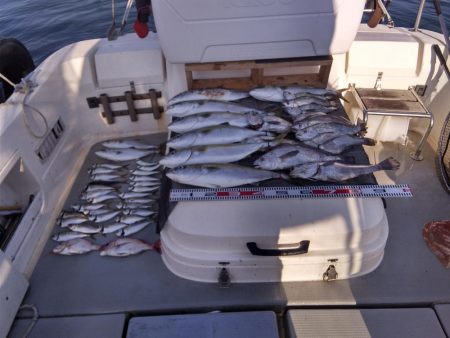 遊漁船SOUTH　10/14釣果