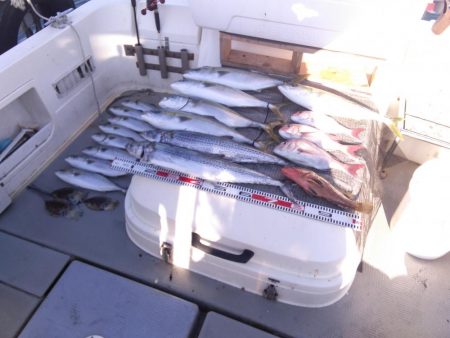 遊漁船SOUTH10/27釣果