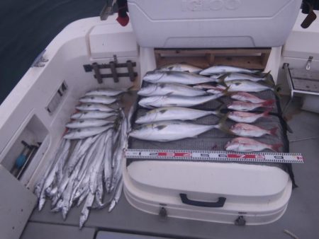 遊漁船SOUTH10/28釣果