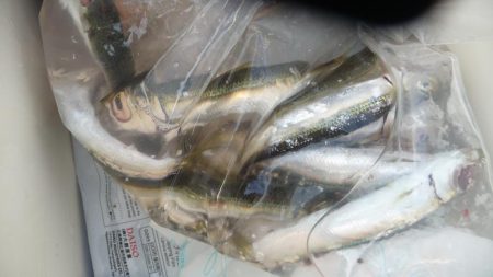 久しぶりのLSJするも不発；；