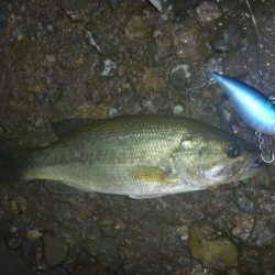 バイブレーション