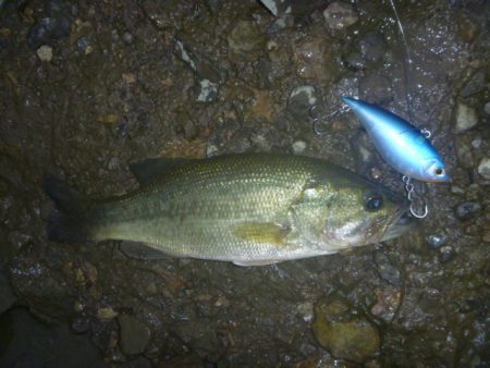 バイブレーション