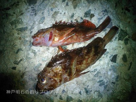 小物釣り