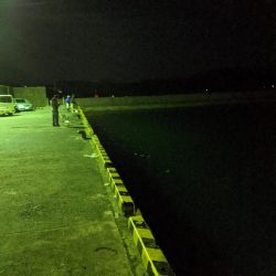 日本海エギング