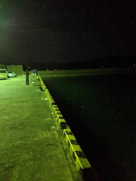 日本海エギング