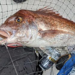 萩沖マイボート10月3日釣果！！