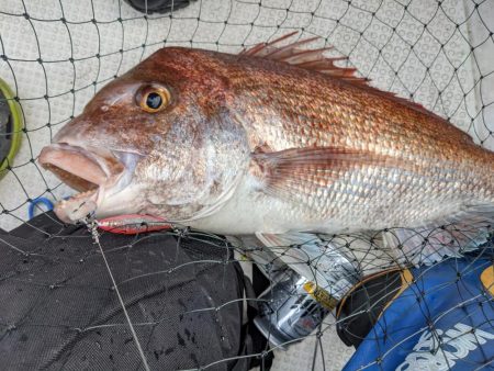 萩沖マイボート10月3日釣果！！