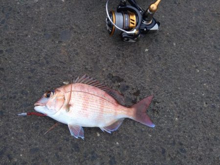 ジグたんゲーム十目！