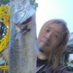 ちぬ狙いが、、、