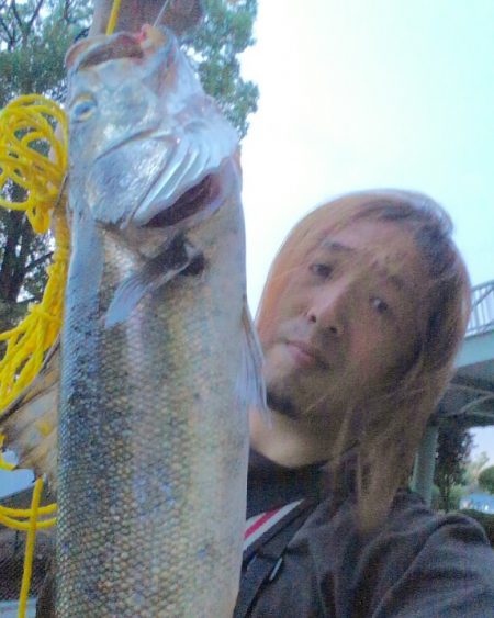 ちぬ狙いが、、、