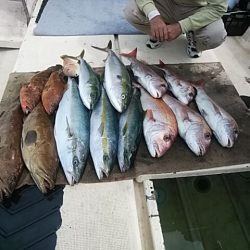 大物釣果速報！●光義丸：平戸市早福港