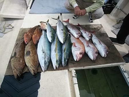 大物釣果速報！●光義丸：平戸市早福港