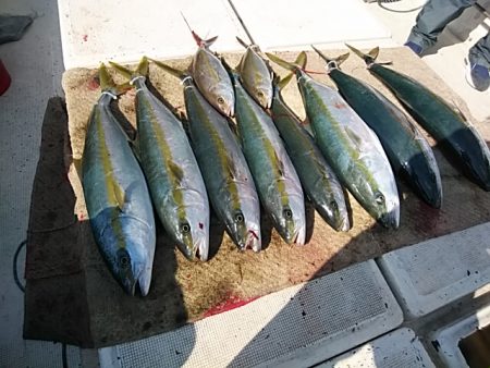 大物釣果速報！●光義丸：平戸市早福港