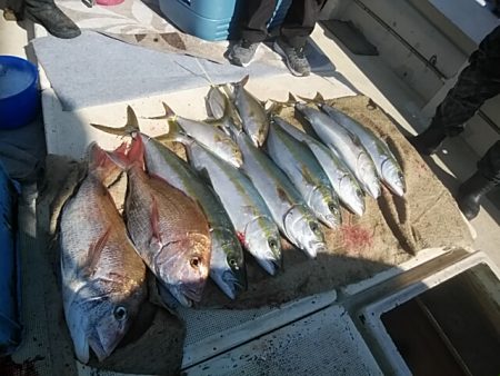 大物釣果速報！●光義丸：平戸市早福港