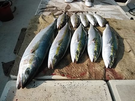 大物釣果速報！●光義丸：平戸市早福港