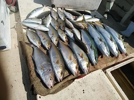 大物釣果速報！●光義丸：平戸市早福港