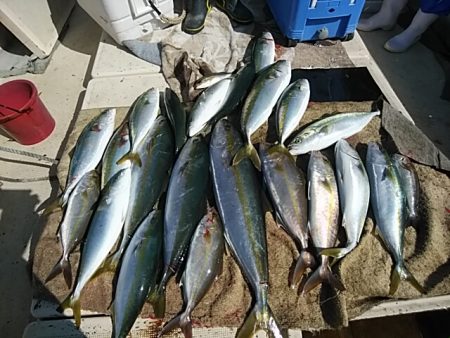 大物釣果速報！●光義丸：平戸市早福港