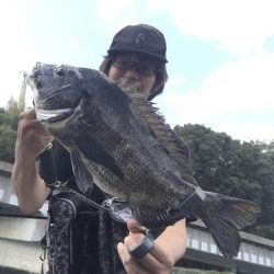 フォールアクションでチヌRIDEON!!