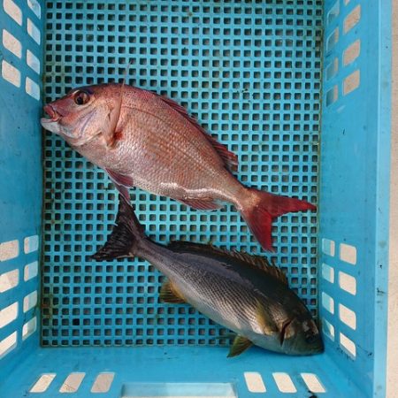 たかみ丸 釣果