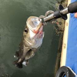 仕事終わりの短時間ゲーム