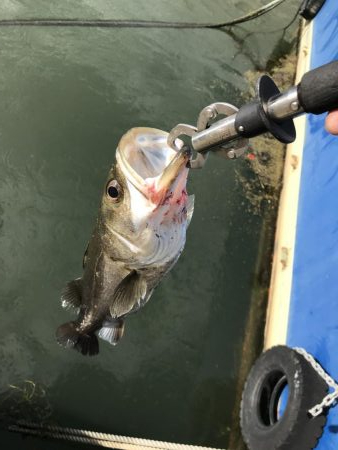 仕事終わりの短時間ゲーム