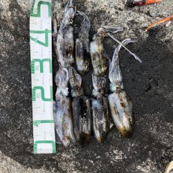 佐渡ヶ島エギング 32回目