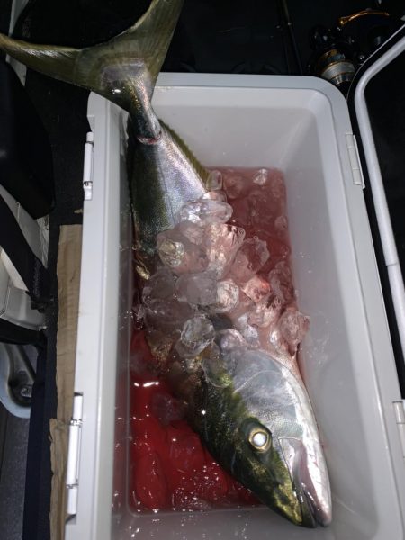 ショアジギング