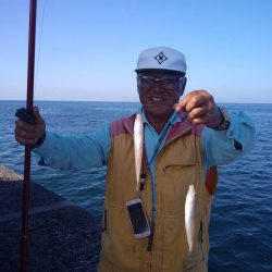 久々に活性が上がった播磨新島のキス