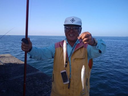 久々に活性が上がった播磨新島のキス