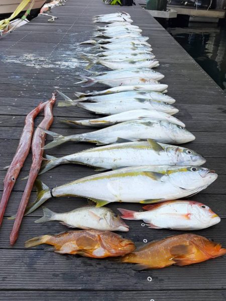 キャスティング・ジギング