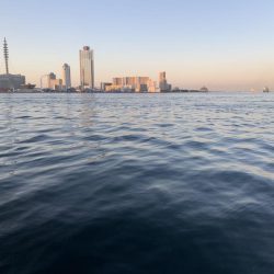 ぶら早朝調査！！