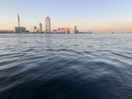 ぶら早朝調査！！