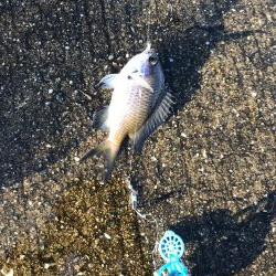 久しぶりの空港