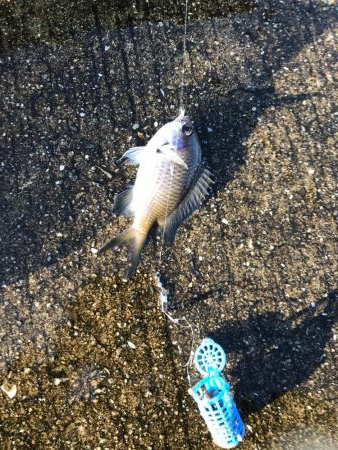 久しぶりの空港