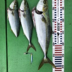 100均ジグで！！