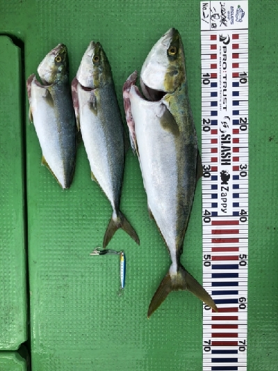 100均ジグで！！