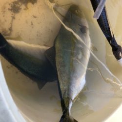 本日、午後スタート！！