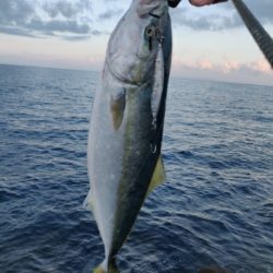 フクラギ、エソ