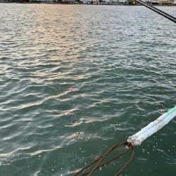 秋めいて参りましたなぁ～