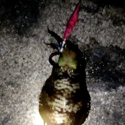 10℃はほぼ真冬装備せなあかん