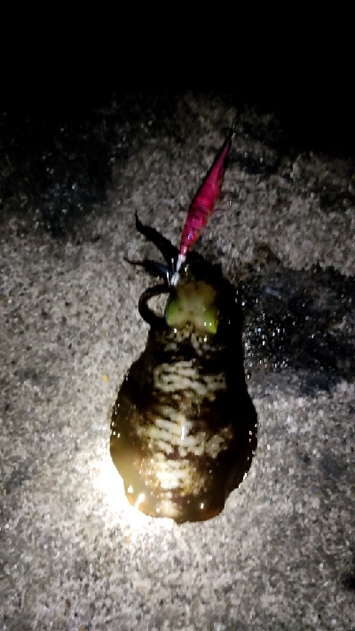 10℃はほぼ真冬装備せなあかん