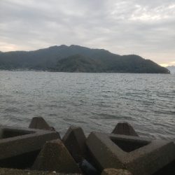 ショアジギングとアジング