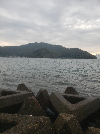 ショアジギングとアジング