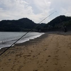 今日は、遅い出発。